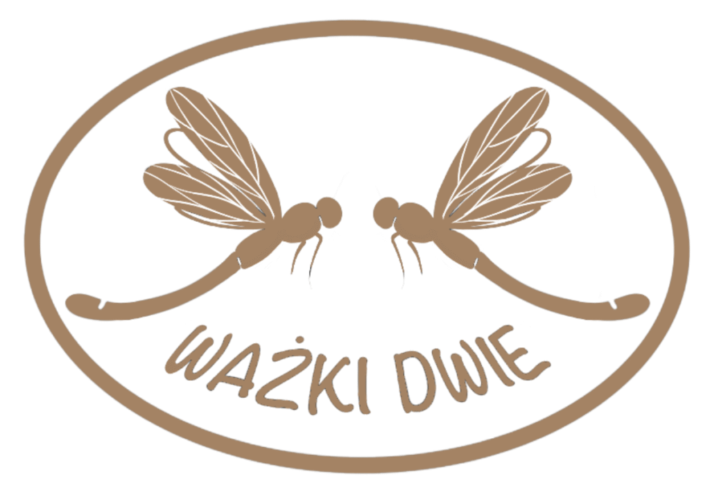 Logo Ważki dwie